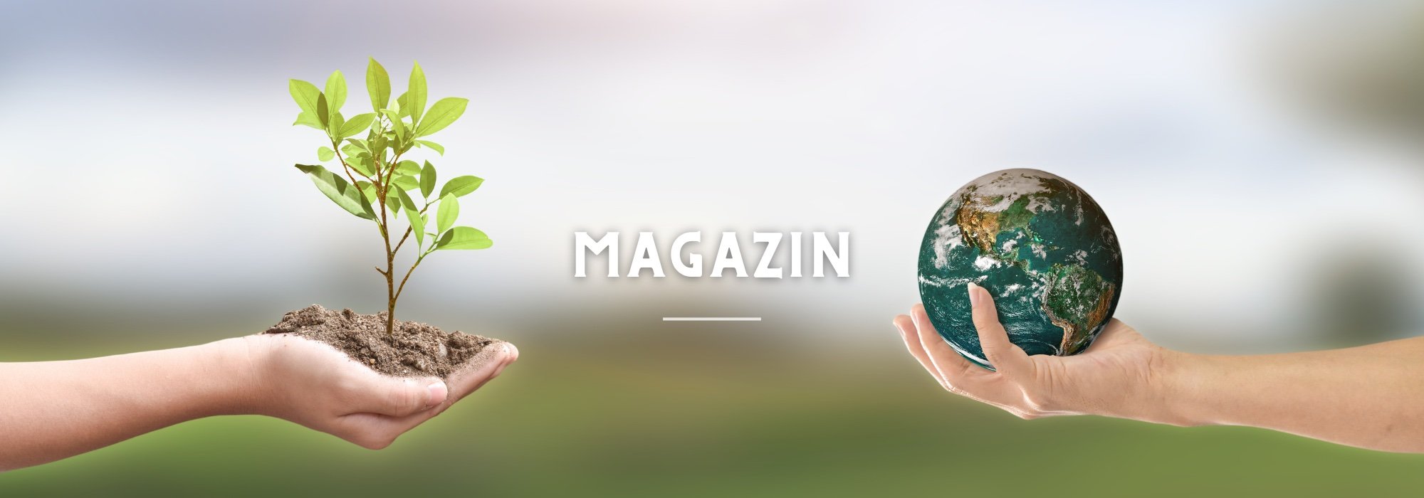 Kein Titel (2000 × 700 px)-2